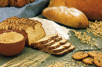 제빵기능사 자격증 취득과정(실기)