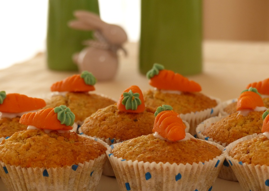 반려동물수제간식과정 (애견카페디저트)